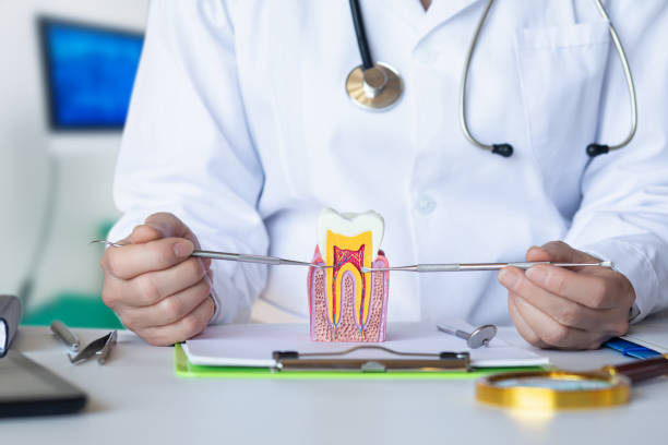 Best Emergency Tooth Extraction in Hooverson Heights, WV